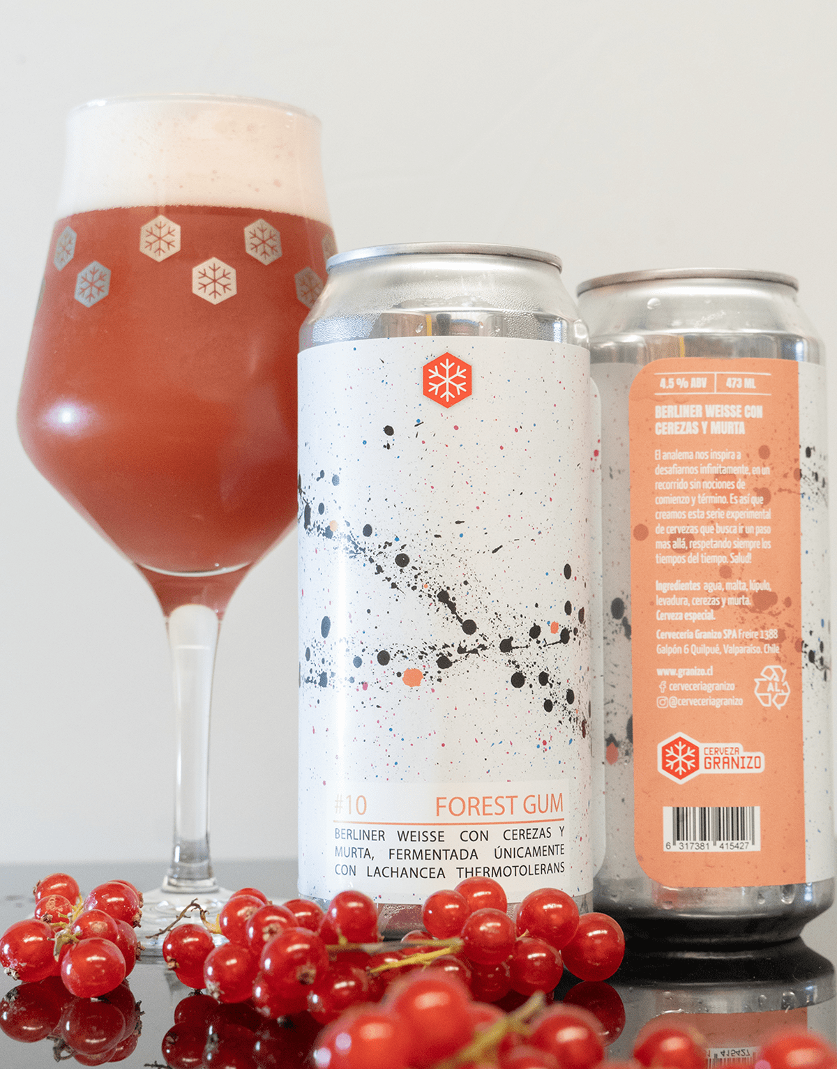 Sour, Gose & Fruit Beer