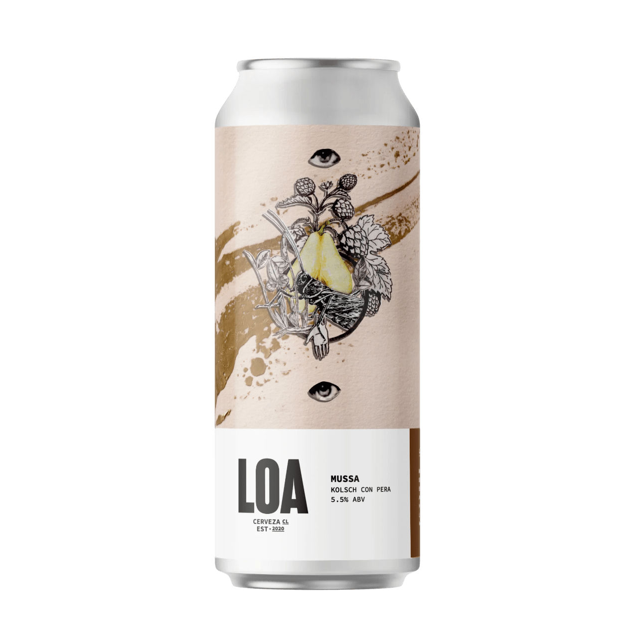 6PACK_MUSSA-Photoroom