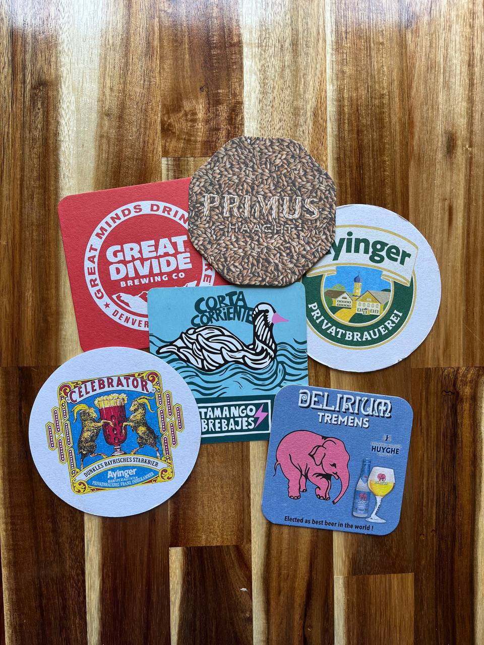 photo_2024-12-02_14-04-46